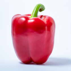 Papryka Argaman F1 500 nasion st